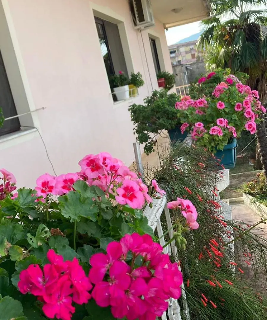 Blissful Hostel Шкодер 0*,