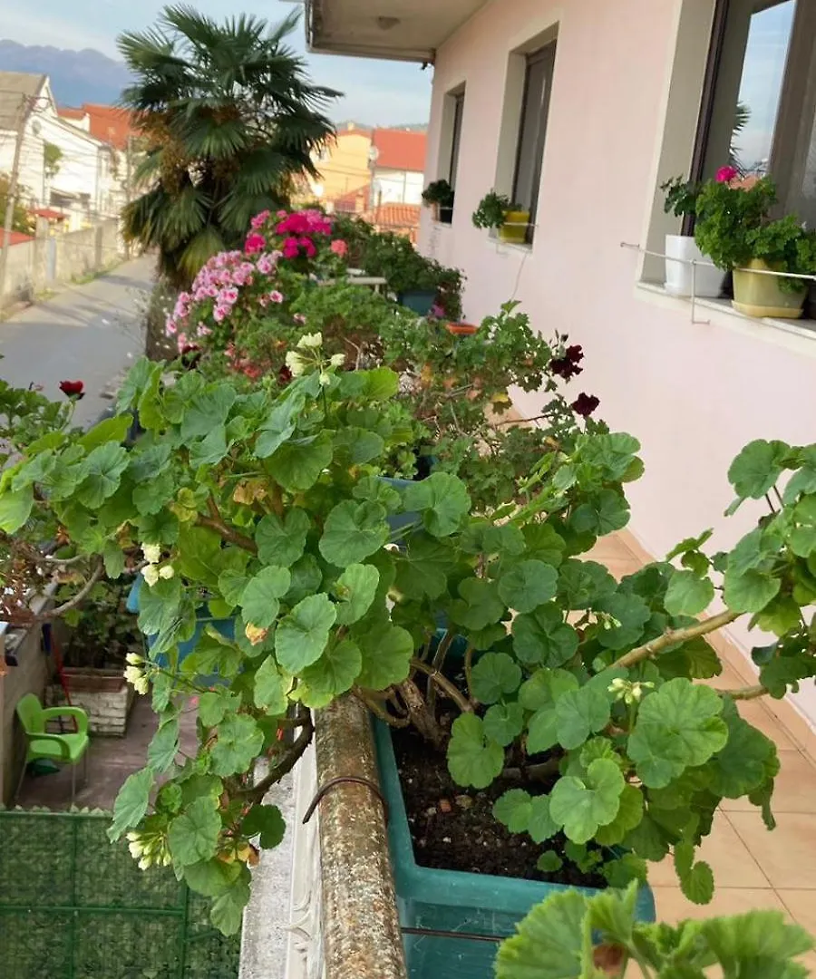 Blissful Hostel Шкодер